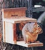 Squirrel Feeder: Box