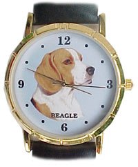 Beagle watch classic size 1.1/4 inch dial. Gold tone case Black leather band.