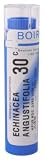 Boiron - Echinacea Angustifolia 30c, 75 pellets