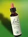 Nelson Bach - Olive Flower Essence 20 ml
