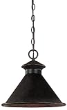 World Imports Lighting 9008-89 Essen 1-Light Outdoor Hanging Fixture, Bronze