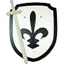 Sword and Shield