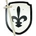 Sword and Shield