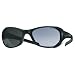 Apparel : Julbo Dolgan Sunglasses (w/ Spectron X4 Lenses)