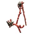 Shell and Red Coral Easel
