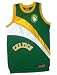 Boston Celtics Hardwood Classic In The Paint Jersey