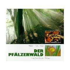 Der Pf�lzerwald