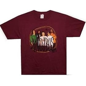 INCUBUS - Scribble Frame - Maroon T-shirt