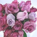 �ނ炳���n�̃o���̉ԑ��@30�{�@�O���[���t���y���ԁz�y���j���z�L�O���z�y�a�����z�y�t�����[�M�t�g�z�y�o���z