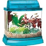 2.5 Gallon Acrylic Aquarium Kit