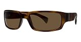 Calvin Klein 842 S sunglasses by