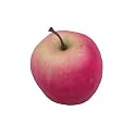 Gala Apple - Artificial Fruit