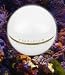 Pearlcium Pearl Powder