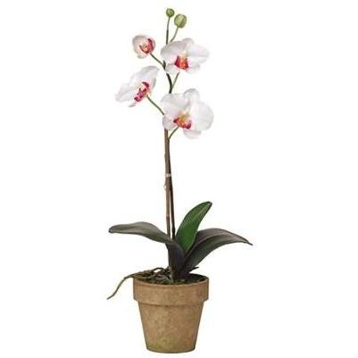 Nearly Natural 4065-WH Potted Phalaenopsis Silk Orchid Plant White