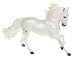 Templado - Performance Artist Lusitano Stallion