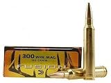 300 Win Mag 165gr Fusion