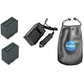 ValuePack (2 Count): Digital Replacement Battery PLUS Mini Battery Travel Charger for Specific Digital Camera and Camcorder Models / Compatible with Panasonic AG-DVX100, AG-DVX100A, AG-DVX100AE, AG-DVX100AP, AG-DVX100B, AG-DVX100BE, AJ-PCS060G ( Portable Hard Disk Unit ), NV-DS29, NV-DS29EG, NV-DS30
