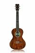 Cordoba 25TK Tenor Ukulele