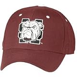 Mississippi State Bulldogs Fitted Zephyr College Cap