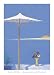 Anemones and Parasol, Art Poster by John Miller