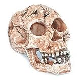 Totenkopf S