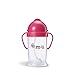 ZoLi BOT XL Straw Sippy Cup - Pink 9 oz