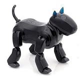 Dasarobot