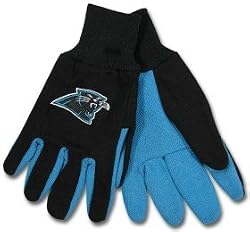 Carolina Panthers Knit NFL Logo Glove