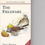 The fieldfare