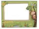 Papagayo Picture Frame