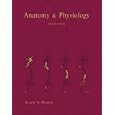 Anatomy & Physiology Plus Access to A&P Place (2nd Edition)