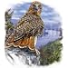 Red Tailed Hawk Adult T-Shirt