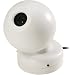 Electronics : SPECO CVC-346BCA B/W Miniature Weatherproof Ball Camera with Audio