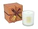 Isola Luce Pineapple Vanilla Candle - Medium