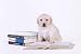 Labrador Puppy with Books - 36W x 24H - Peel and Stick Wall Decal by Wallmonkeys