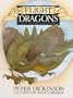 The Flight of Dragons