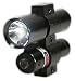 BSA Varmint Hunter Precision Laser Sight amp Light