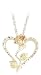Mt. Rushmore Black Hills Gold® 10K Gold Sterling Silver Rose / Heart Pendant Necklace