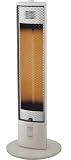 SANYO ���ԊO���X�g�[�u (�V�����p���S�[���h) RX-C9A(N)
