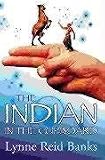 The Indian in the Cupboard: The Secret of the Indian: The Return of the Indian (set of three)