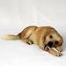 Golden Retriever Dog Figurine - MyDog