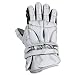 Sporting Goods : Warrior Superfreak II Goalie Glove (White)