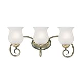 Bathroom Fixtures Westinghouse 67318