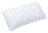 Billerbeck 5453420001 S 22 Kissen Sale Faser Aloe-Vera-Veredelung 40 x 80 cm, 1-teilig, weiss