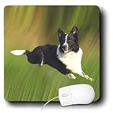 Dogs Border Collie - Border Collie - Mouse Pads