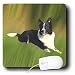 Dogs Border Collie - Border Collie - Mouse Pads