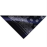 Zan Headgear 3 in 1 Bandanna Cooler Navy Paisley BDC002