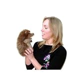 The Puppet Company European Wildlife Hand Puppets Hedgehog Hand Puppet