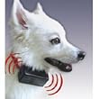 Bark Control Collar