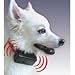 Bark Control Collar